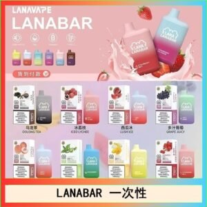 LANA BAR可充电一次性電子煙霧化5000口(3.0%)